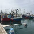La FRCPC, en contra del POEM por el daño que supone para la pesca y el medio marino
