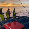 cierre precautorio de la pesquería de Atún rojo